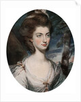 Lady Charlotte Hill, Countess Talbot by Daniel Gardner