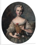 Madame Louise by Jean-Marc Nattier