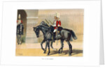 The 1st Life Guards by Geoffrey Douglas Giles