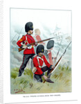 The 87th Princess Victoria's (Royal Irish Fusiliers) by Geoffrey Douglas Giles