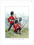 The 87th Princess Victoria's (Royal Irish Fusiliers) by Geoffrey Douglas Giles