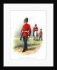 1st Battalion (West Melbourne) Victoria Infantry by H Bunnett