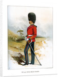 The 23rd Royal Welsh Fusiliers by Anonymous