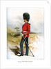 The 23rd Royal Welsh Fusiliers by Anonymous