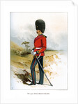 The 23rd Royal Welsh Fusiliers by Anonymous