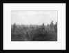 Allied troops, 31 July 1917 at the Yser Canal, Belgium by Anonymous