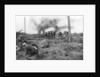 Allied troops and German prisoners at the Menin Road, near Ypres, Belgium by Anonymous