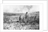 The trenches of Champagne, France by Anonymous