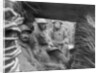 American and French troops in a trench at the front by Anonymous