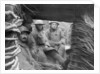 American and French troops in a trench at the front by Anonymous