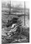 Dead German soldier, Plessis-de-Roye, Picardy, France by Anonymous