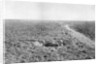 A line of French infantry foxholes by Anonymous