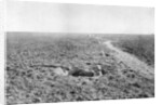 A line of French infantry foxholes by Anonymous