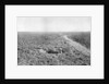 A line of French infantry foxholes by Anonymous