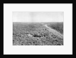 A line of French infantry foxholes by Anonymous