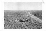 A line of French infantry foxholes by Anonymous