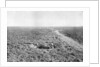 A line of French infantry foxholes by Anonymous