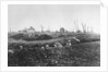 French infantry establishing fallback positions in front of a ruined farm, Picardy, France by Anonymous