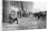 American cavalry unit at rest, Chemin des Dames, France by Anonymous
