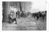 American cavalry unit at rest, Chemin des Dames, France by Anonymous
