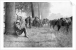 American cavalry unit at rest, Chemin des Dames, France by Anonymous