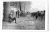 American cavalry unit at rest, Chemin des Dames, France by Anonymous