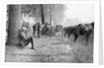 American cavalry unit at rest, Chemin des Dames, France by Anonymous