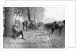 American cavalry unit at rest, Chemin des Dames, France by Anonymous