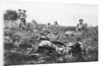 American marines digging trenches, Lucy-le-Bocage, France by Anonymous