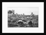 American marines digging trenches, Lucy-le-Bocage, France by Anonymous