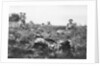 American marines digging trenches, Lucy-le-Bocage, France by Anonymous