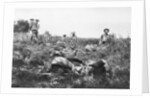 American marines digging trenches, Lucy-le-Bocage, France by Anonymous