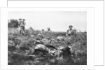 American marines digging trenches, Lucy-le-Bocage, France by Anonymous