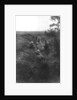 French infantry position in a sunken lane, north of Villers-Cotterets, Aisne, France by Anonymous