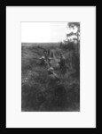 French infantry position in a sunken lane, north of Villers-Cotterets, Aisne, France by Anonymous
