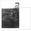 French infantry position in a sunken lane, north of Villers-Cotterets, Aisne, France by Anonymous
