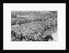 Columns of German prisoners, Somme, France by Anonymous