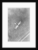 A German Aviatik aircraft photographed in flight by a Belgian aviator, Ypres, Belgium by Anonymous