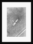 A German Aviatik aircraft photographed in flight by a Belgian aviator, Ypres, Belgium by Anonymous