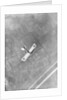 A German Aviatik aircraft photographed in flight by a Belgian aviator, Ypres, Belgium by Anonymous