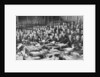 The scene in the House of Commons, Westminster, London by Anonymous