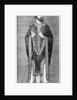 Development of the mitre by Anonymous