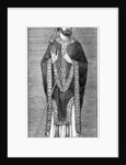 Development of the mitre by Anonymous