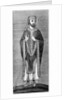 Development of the mitre by Anonymous