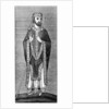 Development of the mitre by Anonymous