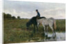 Watering Horses by Anton Mauve