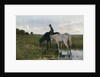 Watering Horses by Anton Mauve