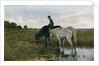 Watering Horses by Anton Mauve