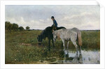 Watering Horses by Anton Mauve
