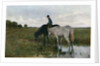 Watering Horses by Anton Mauve